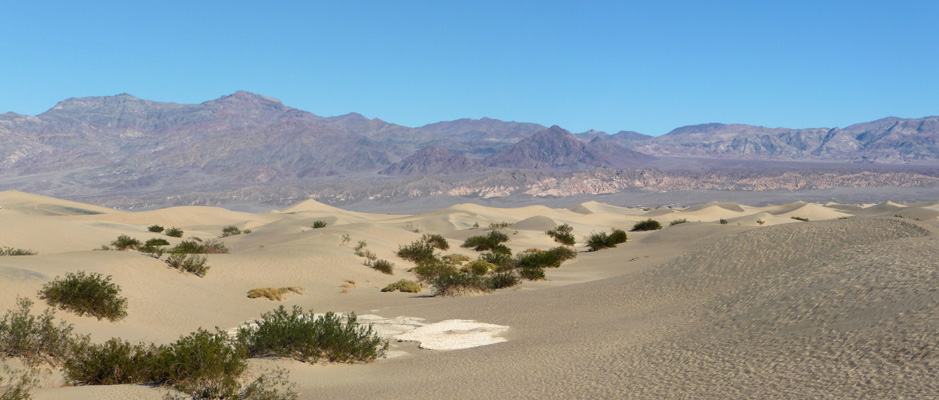 Mesquite Sand Dunes and Amargosa Range Death Valley