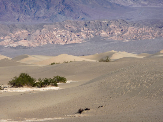 Mesquite Sand Dunes Death Valley