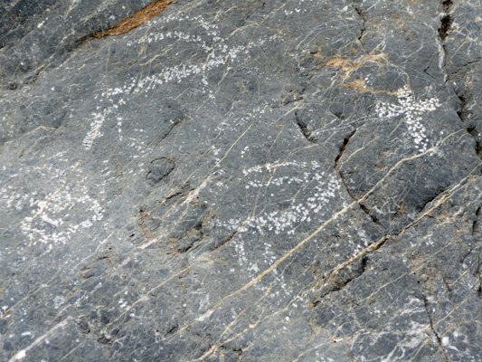 Petroglyphs Titus Canyon Death Valley CA