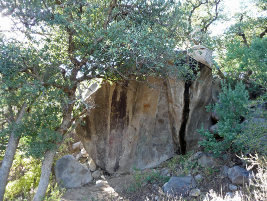 Seep over rock Pine Tree Trail NM