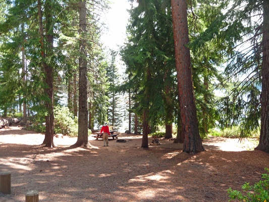 Campsite at Crescent Lake Campground OR