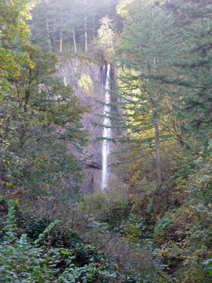 Latourell Falls Columbia Gorge OR