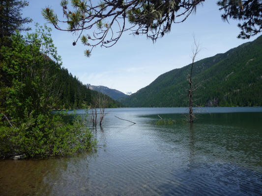 Northward view on Lake Kachess in June