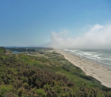 Oregon Dunes National Recreation Area