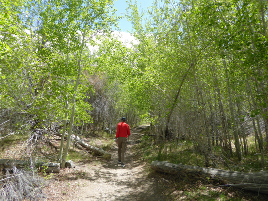 Montville Nature Trail