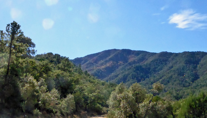 View from top Madera Canyon