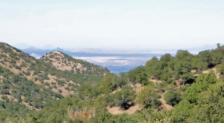 View from top of Madera Canyon