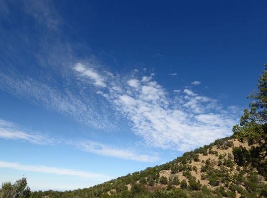Clouds at top of Madera Canyon