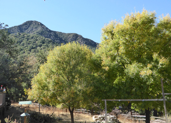 Madera Canyon view