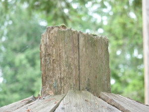 Rotten kingpost on top of Gazebo roof