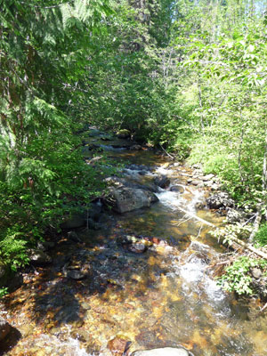 Fish Creek Glacier National Park