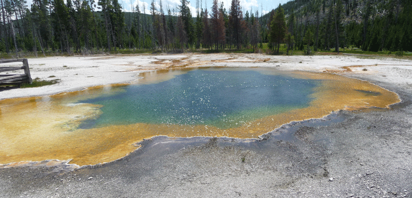 Emerald Pool Black Sand Geyser Yellowstone