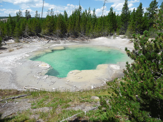 Emerald Spring