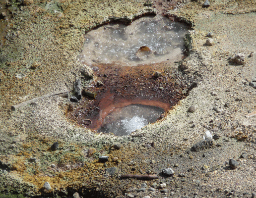 Boiling mud pot at Mud Geyser