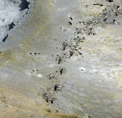 Bison tracks across geyser basin