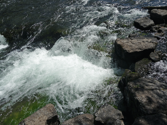 LeHardy's Rapids