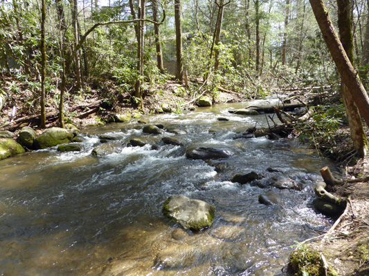 Fighting Creek Sugarlands TN