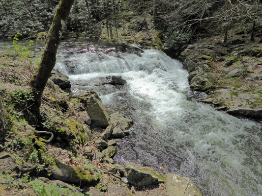 Laurel Creek Great Smoky Mt NP