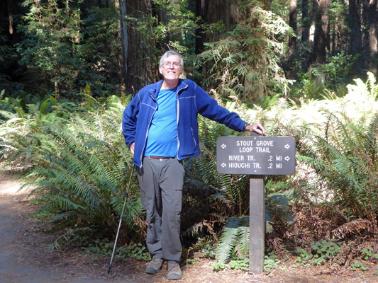 Walter Cooke Stout Grove Redwood NP
