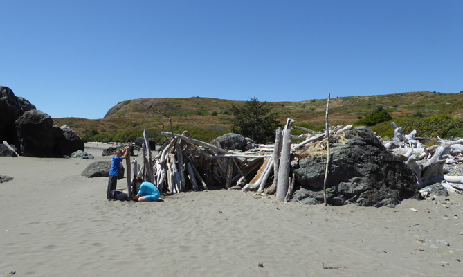 Dirftwood fort Lone Ranch Beach