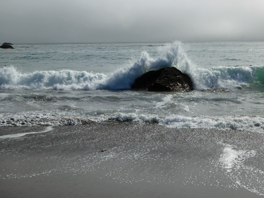 Surf South Beach Harris Beach SP