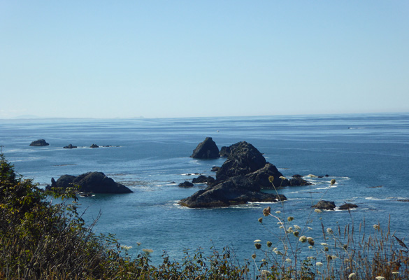 Harris Beach State Park OR