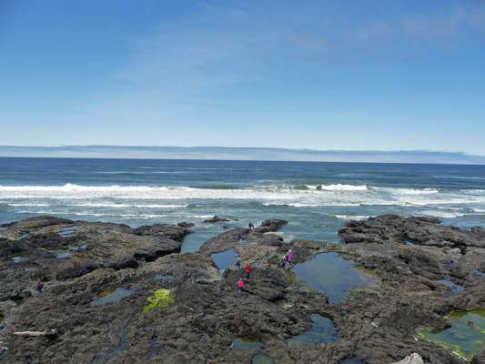 Tide pools low tide Cape Perpetua