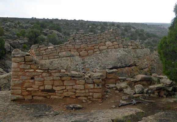Holly Unit Hovenweep