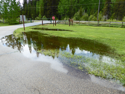 Flooded entrance Huckleberry Campground