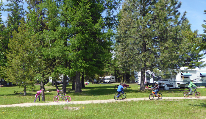 Kids on bikes Huckleberry Campground