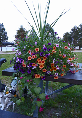 Flower basket