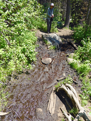 Muddy Boulder Lake trail