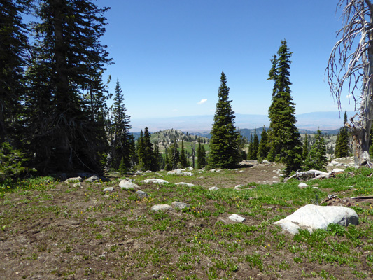 Westward from Snowbank Mt ID