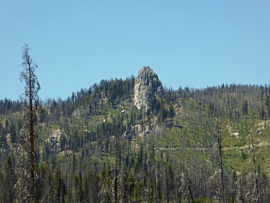 Cougar Rock Stolle Meadows ID