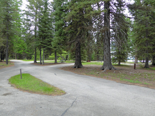 Treed sites at Huckleberry Campground