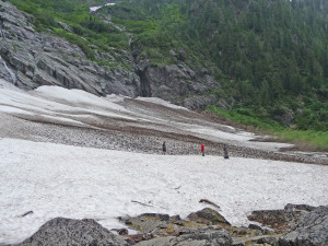 People picking their way across snow field at Big 4 ice Caves