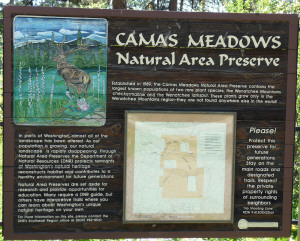 Camas Meadows Sign
