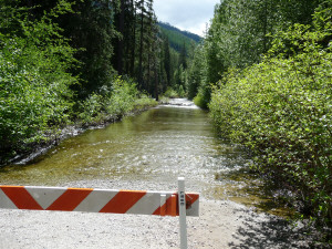 Icicle Creek over road