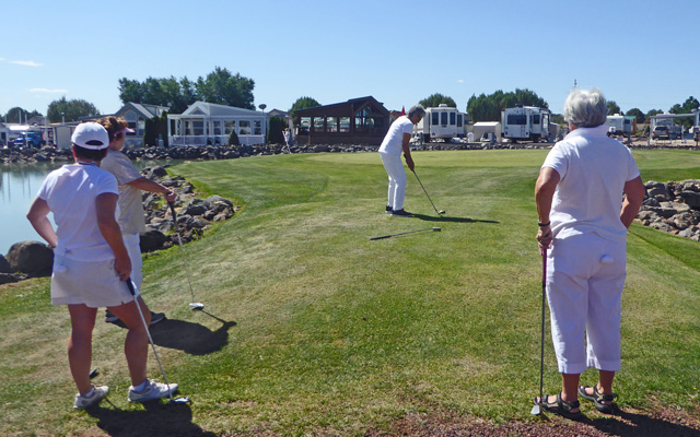 White rabbit golfers