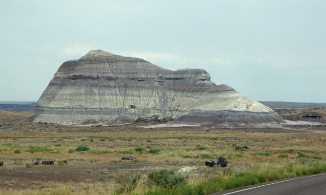 Petrified Forest National Park