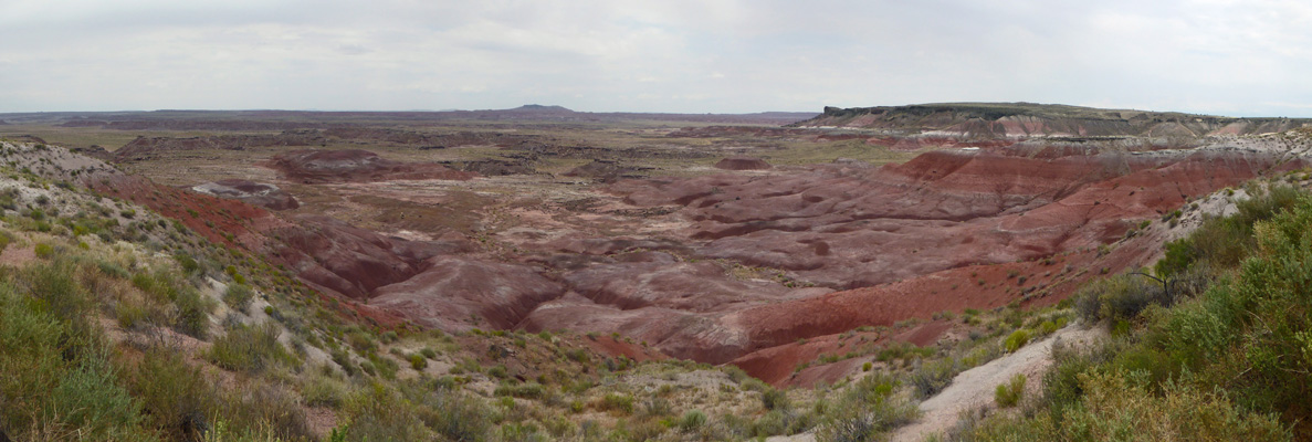 Painted Desert