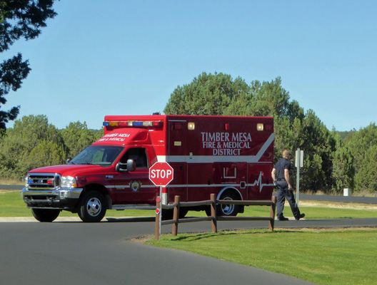 Timber Mesa FD EMT truck