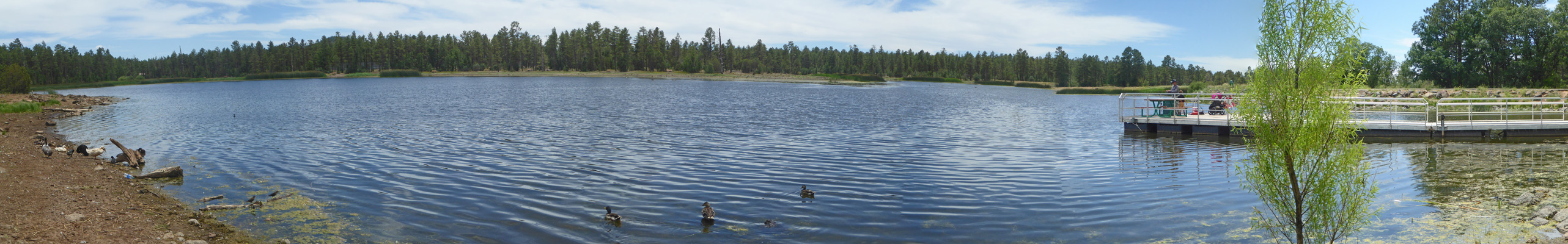 Woodland Lake