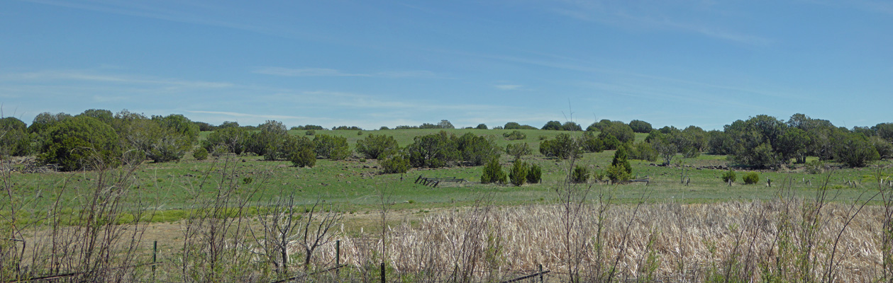 Pintail Lake area