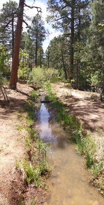 Creek panorama