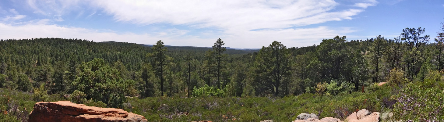 Mogollon Rim