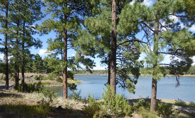 Blue Bird picnic area Fool Hollow Lake