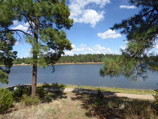 Blue Bird picnic area Fool Hollow Lake