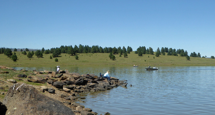 Big Lake AZ