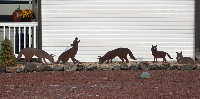 Metal art coyotes